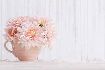 chrysanthemum in pink cup on white wooden background