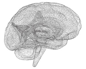 Vector illustration, three-dimensional brain on a dark background