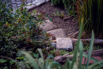 stones path steps