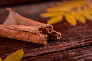 Cinnamon sticks, autumn motifs