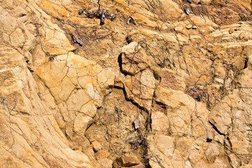 stones and rocks