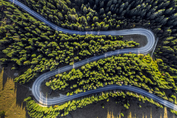 Aerial view of winding road in green forest