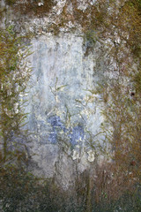 Old wall covered with moss and mold - frame