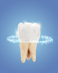 vector molar tooth. beauty and health. tooth cleaning and personal care