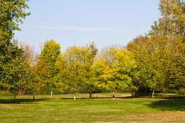 autumn in the park