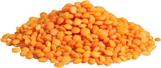 Lentils - Isolated