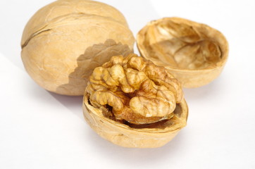 Walnut on white background close up