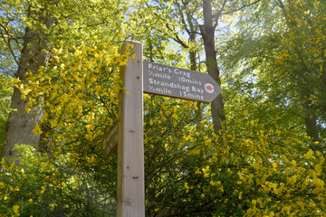 Signpost near Derwentwater, Lake District