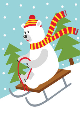 polar bear on sled  - vector illustration, eps