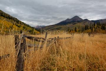 Morning autumn meadow tall grass fence