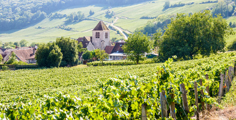Fototapeta na wymiar Panoramic view over the small village of Bonneil, France, and its medieval steeple in the Champagne vineyard with rows of grapevine in the foreground and on the hillside in the background.