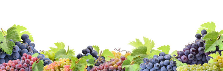 Grapes on a white background
