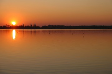 nature, flowers and buildings