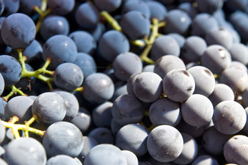 grapes