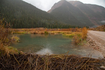 Wetland area Colorado in autumn beaver dam