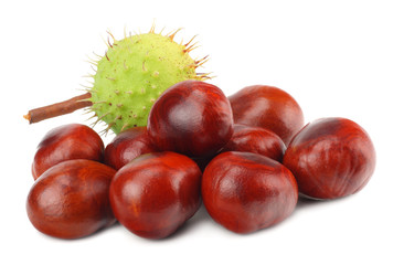chestnuts isolated on white background. Healthy background.