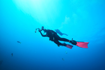 beautiful underwater with the coral reef at Losin diving spot south of Thailand 