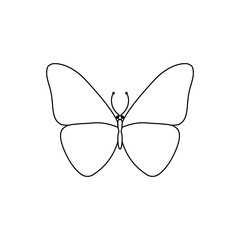 Vector illustration. Line style butterfly. Simple line. Template.