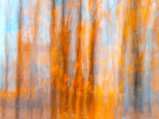 Blurred Tree Trunks At A City Park With Golden Autumn Leaves. Intentional Camera Movement ICM. Fall Fine Art Design.
