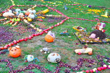 Colorful homemade decorations of harvested autumn vegetables and  fruits on green grass background outdoors. Autumn harvest and thanksgiving day concept.