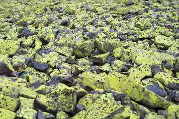 Mountain stones with green lichen. Blurred background