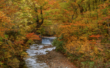Small water fall with beautiful autumn season at Akita, Japan.