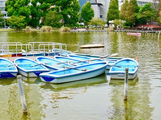 Obraz premium 公園の池とボート