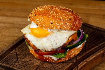 Tasty burger with meat