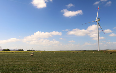Landschaft Nordfriesland