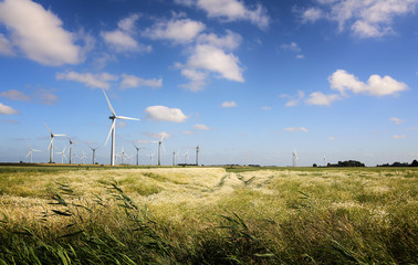 Windmühlen im Sommer