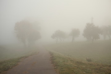 Fototapeta na wymiar fog on the road