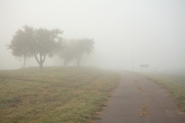 fog on the road
