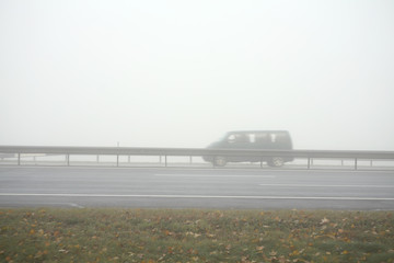 fog on the road