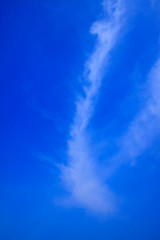 Fototapeta premium blue sky and white clouds