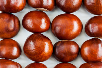 Chestnuts on a white.