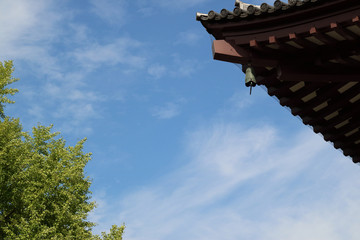 Fototapeta na wymiar 寺院の瓦屋根と青空