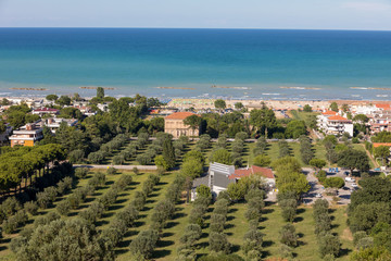 Olive grove and Adriatic coast in Roseto degli Abruzzi, Italy