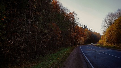 Obraz premium road to autumn