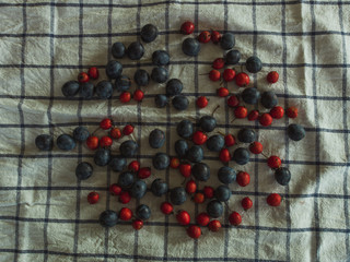 Berries