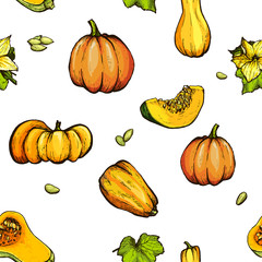 Colorful pumpkin sketch hand drawn illustration. Farm market product.