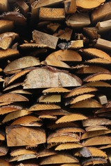 sawn wood background. cut of wood texture