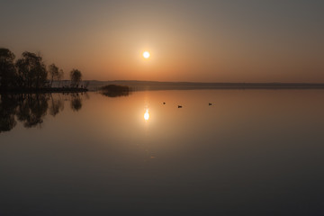 Fototapeta na wymiar three ducks in autumn sunset and light haze over quiet water
