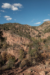 Landscape view from Beaver Creek trail
