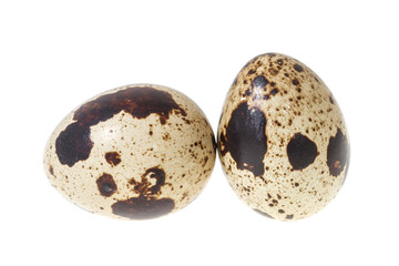 Quail eggs on isolated