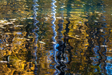 Colorful autumn reflection.