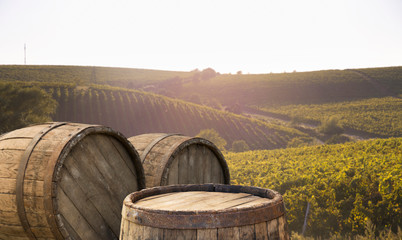 Red wine with barrel on vineyard in green Tuscany, Italy