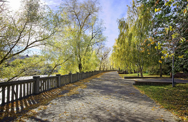 Fototapeta na wymiar Autumn alley in the old park in the Siberian city of Omsk
