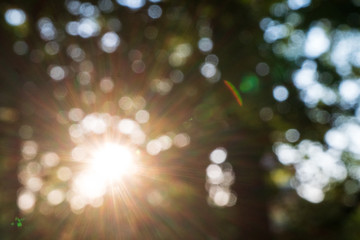 Tiefer Sonnenschein im Bokeh