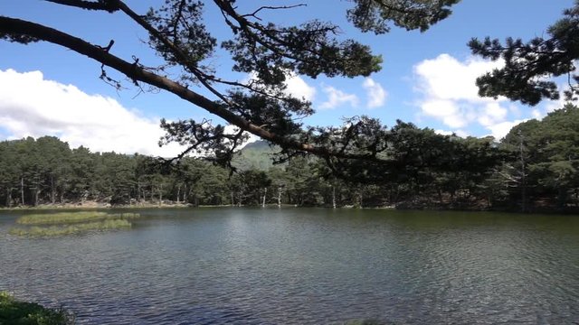 The bassa de oles in the Valle de Aran