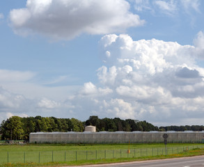 greenhouses in the field